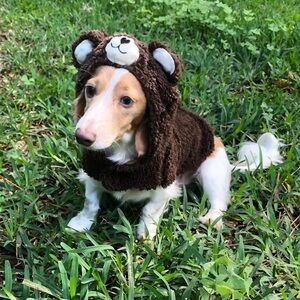 Meet your Posher, Asher